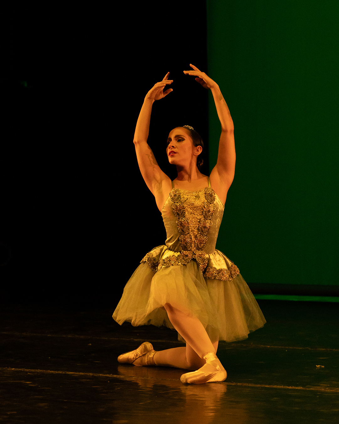 Recuerdos Inolvidables: La Magia de Raquel de Castro en Tempus Danzare